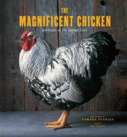 Magnificent Chicken by Tamara Staples