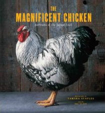 Magnificent Chicken