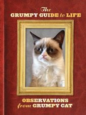 Grumpy Cat A Grumpy Guide to Life