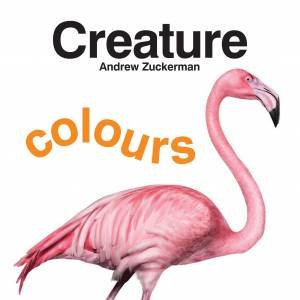 Creature Colours by Unknown