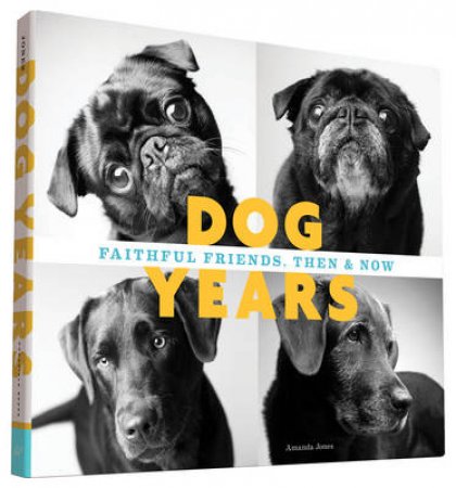 Dog Years by Amanda Jones