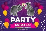 Party Animals Popup Notecard Collection