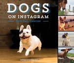 Dogs on Instagram 2018 Daily Calendar