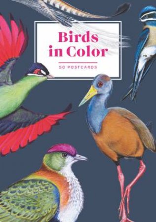 Birds In Color 50 Postcards by Thayer Walker