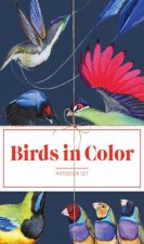 Birds In Color Notebooks