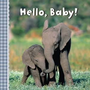 Hello, Baby! by Sterling Children's