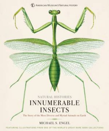 Innumerable Insects by Michael S. Engel & Tom Baione