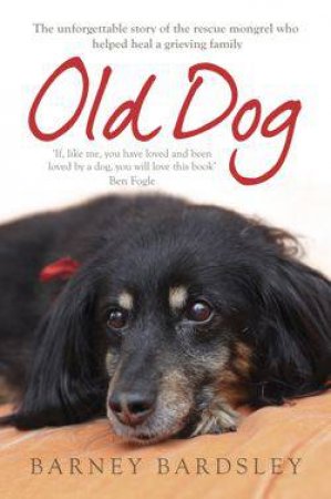 Old Dog by Barney Bardsley