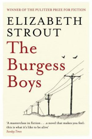 Burgess Boys by Elizabeth Strout