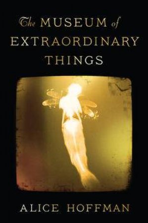 Museum of Extraordinary Things by Alice Hoffman