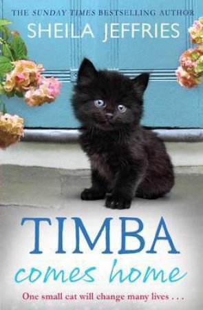 Timba Comes Home by Sheila Jefferies