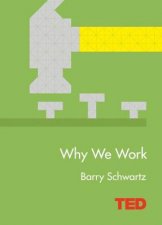 TED Why We Work