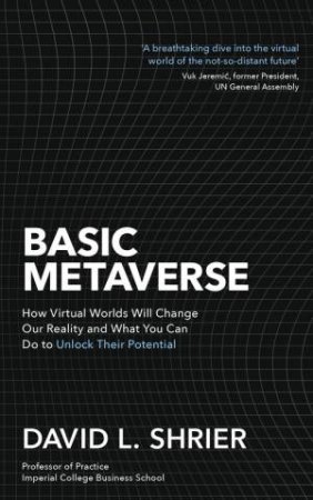 Basic Metaverse by David Shrier