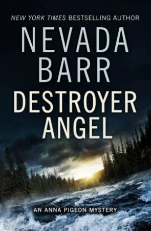 Destroyer Angel by Nevada Barr