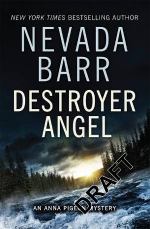 Destroyer Angel by Nevada Barr