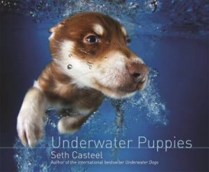 Underwater Puppies by Seth Casteel