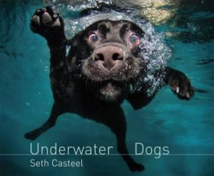 Underwater Dogs by Seth Casteel