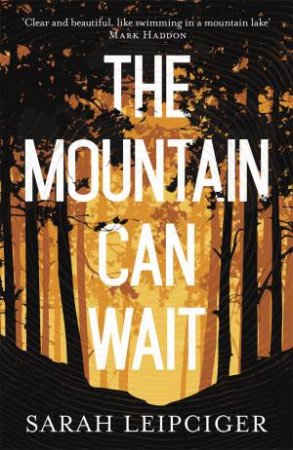 The Mountain Can Wait by Sarah Leipciger