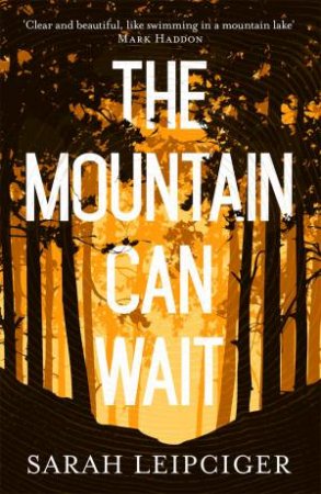 The Mountain Can Wait by Sarah Leipciger