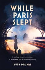 While Paris Slept A mother in wartime Paris A heartwrenching choice A remarkable story