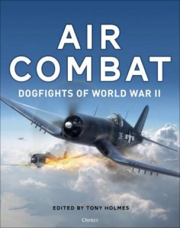 Air Combat by Tony Holems