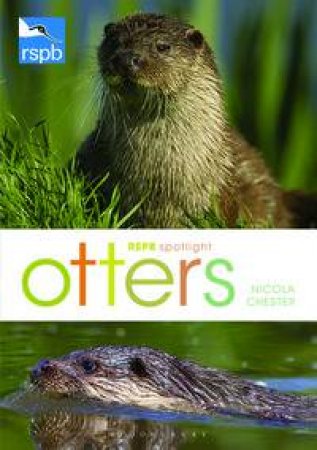 RSPB Spolight: Otters by Nicola Chester