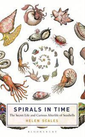 Spirals in Time by Helen Scales