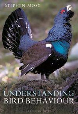 Understanding Bird Behaviour by Stephen Moss