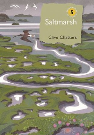 Saltmarsh by Clive Chatters