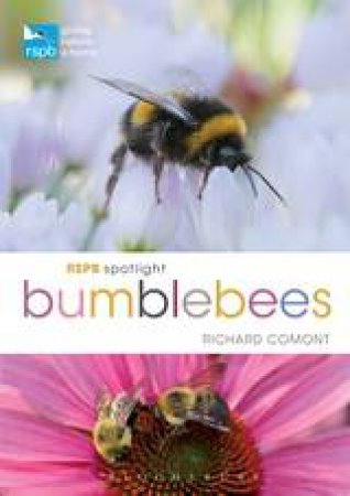 RSPB Spotlight: Bumblebees by Richard Comont