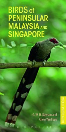 Birds Of Peninsular Malaysia And Singapore by G. W. H. Davison