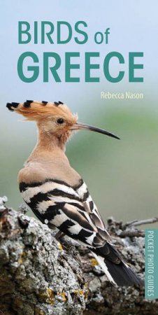 Birds Of Greece by Rebecca Nason