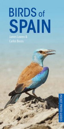 Birds Of Spain by James Lowen & Carlos Bocos Gonzalez