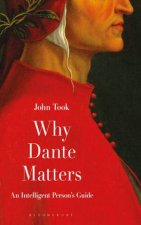 Why Dante Matters An Intelligent Persons Guide