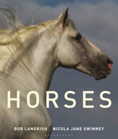 Horses by Nicola Jane Swinney