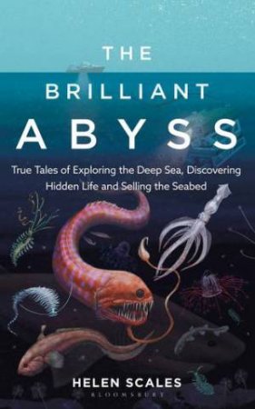 The Brilliant Abyss by Kitt Chapman