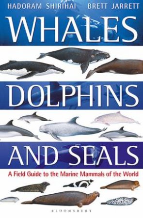 Whales, Dolphins And Seals by Brett,Shirihai, Hadoram Jarrett