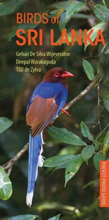 Birds Of Sri Lanka by Various