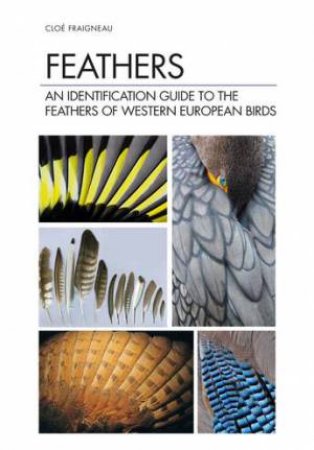 Feathers by Clo Fraigneau