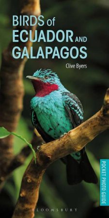 Birds Of Ecuador And Galapagos by Clive Byers