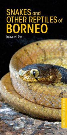 Snakes And Other Reptiles Of Borneo by Indraneil Das