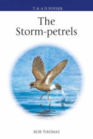 The Storm-petrels by Rob Thomas