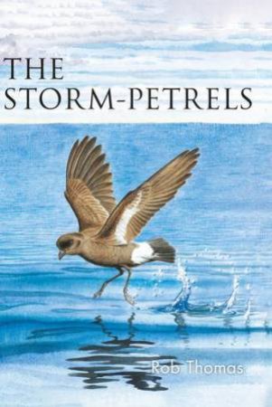 The Storm-petrels by Rob Thomas