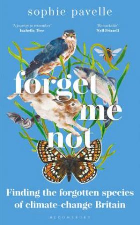 Forget Me Not by Sophie Pavelle