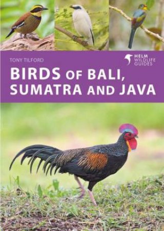 Birds of Bali, Sumatra and Java by Tony Tilford