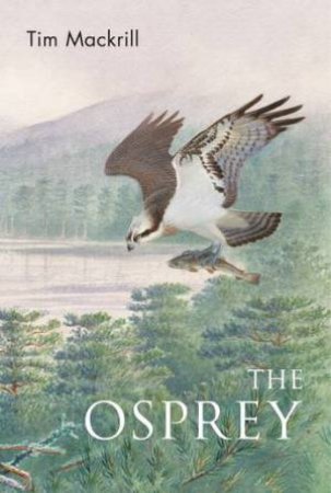 The Osprey by Tim Mackrill