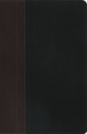 NIV Study Bible Chocolate/Black Duo-Tone Personal Size by Various