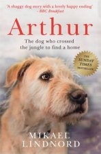 Arthur The Dog Who Crossed The Jungle To Find A Home