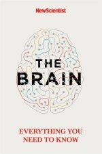 The Brain