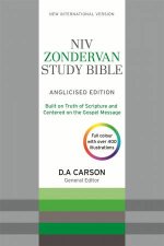 NIV Zondervan Study Bible Anglicised